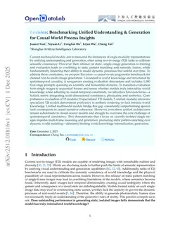 Envision: Benchmarking Unified Understanding & Generation for Causal World Process Insights