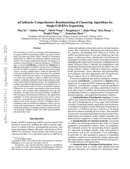 scCluBench: Comprehensive Benchmarking of Clustering Algorithms for Single-Cell RNA Sequencing