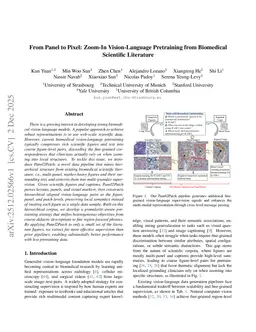 From Panel to Pixel: Zoom-In Vision-Language Pretraining from Biomedical Scientific Literature