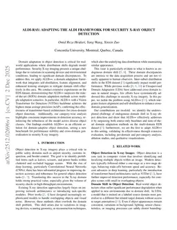 ALDI-ray: Adapting the ALDI Framework for Security X-ray Object Detection