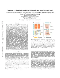 PanFoMa: A Lightweight Foundation Model and Benchmark for Pan-Cancer