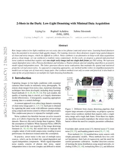2-Shots in the Dark: Low-Light Denoising with Minimal Data Acquisition