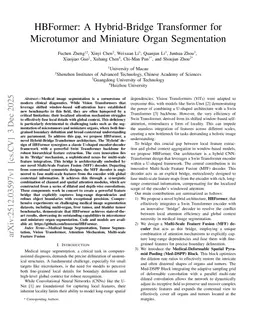 HBFormer: A Hybrid-Bridge Transformer for Microtumor and Miniature Organ Segmentation