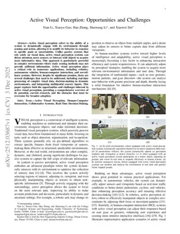 Active Visual Perception: Opportunities and Challenges