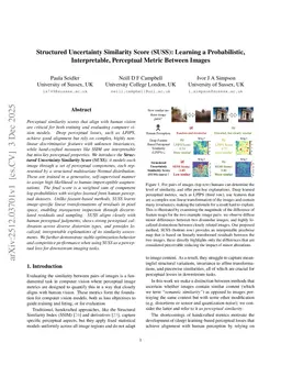 Structured Uncertainty Similarity Score (SUSS): Learning a Probabilistic, Interpretable, Perceptual Metric Between Images