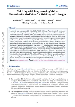 Thinking with Programming Vision: Towards a Unified View for Thinking with Images