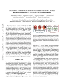 Dual Cross-Attention Siamese Transformer for Rectal Tumor Regrowth Assessment in Watch-and-Wait Endoscopy