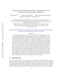 Probabilistic Foundations of Fuzzy Simplicial Sets for Nonlinear Dimensionality Reduction