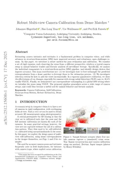 Robust Multi-view Camera Calibration from Dense Matches