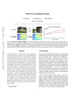 Multi-View Foundation Models