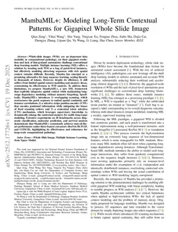 MambaMIL+: Modeling Long-Term Contextual Patterns for Gigapixel Whole Slide Image