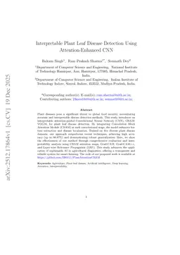 Interpretable Plant Leaf Disease Detection Using Attention-Enhanced CNN