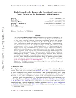 EndoStreamDepth: Temporally Consistent Monocular Depth Estimation for Endoscopic Video Streams