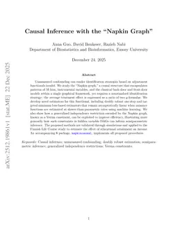 Causal Inference with the "Napkin Graph"