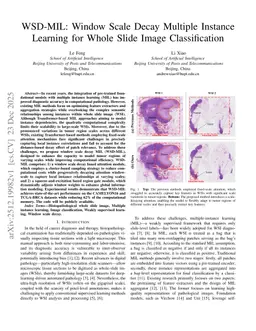 WSD-MIL: Window Scale Decay Multiple Instance Learning for Whole Slide Image Classification
