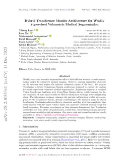 Hybrid Transformer-Mamba Architecture for Weakly Supervised Volumetric Medical Segmentation