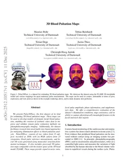 3D Blood Pulsation Maps