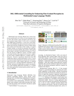 DiG: Differential Grounding for Enhancing Fine-Grained Perception in Multimodal Large Language Model