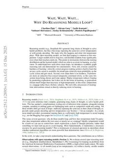 Wait, Wait, Wait... Why Do Reasoning Models Loop?