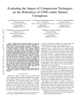 Evaluating the Impact of Compression Techniques on the Robustness of CNNs under Natural Corruptions