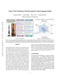 Same or Not? Enhancing Visual Perception in Vision-Language Models