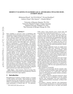 Shortcut Learning in Glomerular AI: Adversarial Penalties Hurt, Entropy Helps