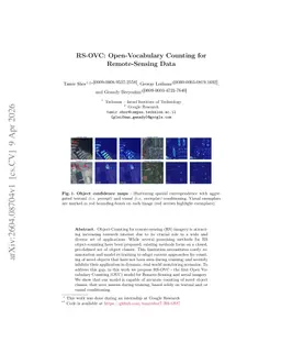 RS-OVC: Open-Vocabulary Counting for Remote-Sensing Data