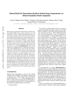 RobustMedSAM: Degradation-Resilient Medical Image Segmentation via Robust Foundation Model Adaptation