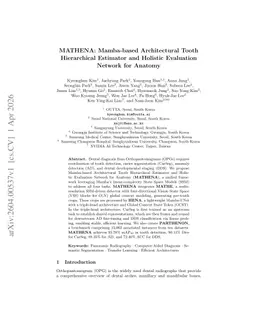 MATHENA: Mamba-based Architectural Tooth Hierarchical Estimator and Holistic Evaluation Network for Anatomy
