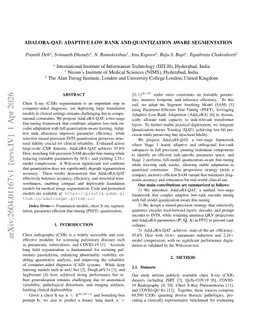 AdaLoRA-QAT: Adaptive Low-Rank and Quantization-Aware Segmentation