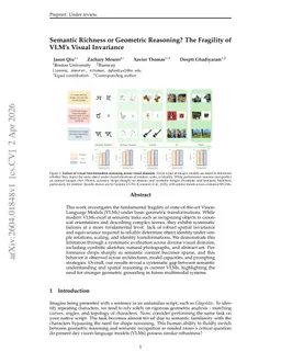 Semantic Richness or Geometric Reasoning? The Fragility of VLM's Visual Invariance