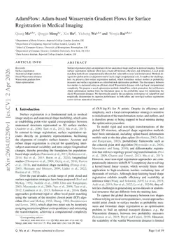 AdamFlow: Adam-based Wasserstein Gradient Flows for Surface Registration in Medical Imaging