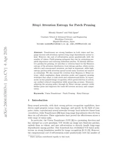 Rényi Attention Entropy for Patch Pruning