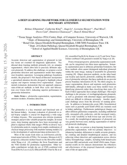 A deep learning framework for glomeruli segmentation with boundary attention