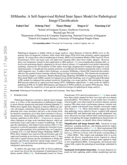 SSMamba: A Self-Supervised Hybrid State Space Model for Pathological Image Classification