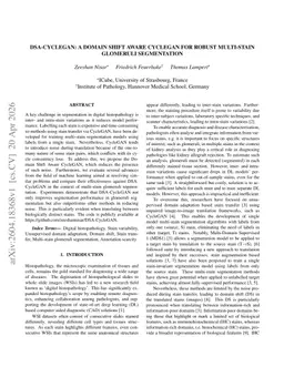 DSA-CycleGAN: A Domain Shift Aware CycleGAN for Robust Multi-Stain Glomeruli Segmentation