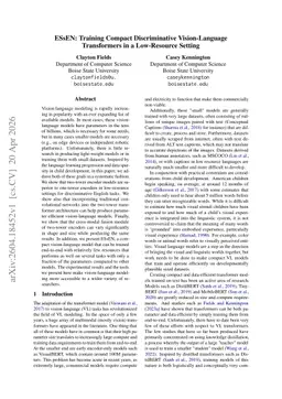 ESsEN: Training Compact Discriminative Vision-Language Transformers in a Low-Resource Setting