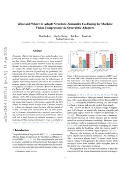 What and Where to Adapt: Structure-Semantics Co-Tuning for Machine Vision Compression via Synergistic Adapters