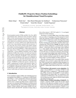 FishRoPE: Projective Rotary Position Embeddings for Omnidirectional Visual Perception