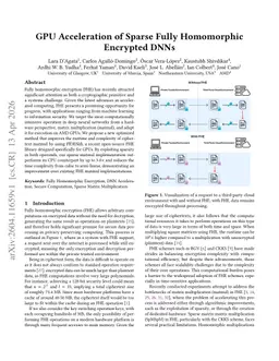 GPU Acceleration of Sparse Fully Homomorphic Encrypted DNNs