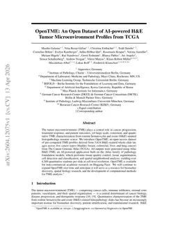 OpenTME: An Open Dataset of AI-powered H&E Tumor Microenvironment Profiles from TCGA