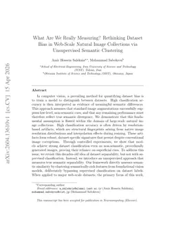 What Are We Really Measuring? Rethinking Dataset Bias in Web-Scale Natural Image Collections via Unsupervised Semantic Clustering