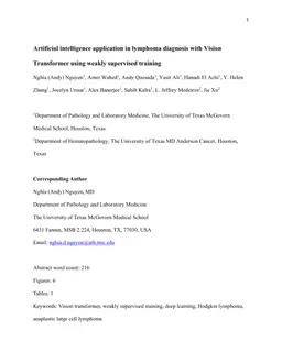 Artificial intelligence application in lymphoma diagnosis with Vision Transformer using weakly supervised training