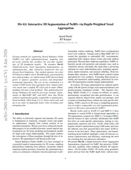 DivAS: Interactive 3D Segmentation of NeRFs via Depth-Weighted Voxel Aggregation