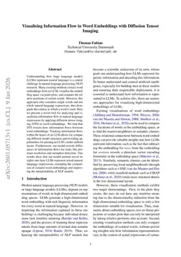 Visualising Information Flow in Word Embeddings with Diffusion Tensor Imaging