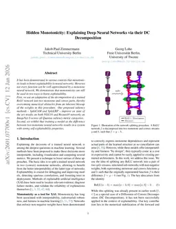 Hidden Monotonicity: Explaining Deep Neural Networks via their DC Decomposition