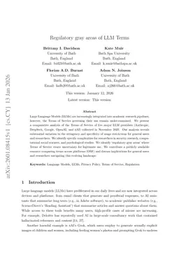 Regulatory gray areas of LLM Terms