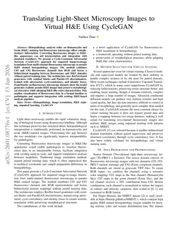 Translating Light-Sheet Microscopy Images to Virtual H&E Using CycleGAN