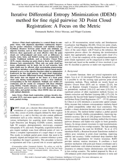 Iterative Differential Entropy Minimization (IDEM) method for fine rigid pairwise 3D Point Cloud Registration: A Focus on the Metric