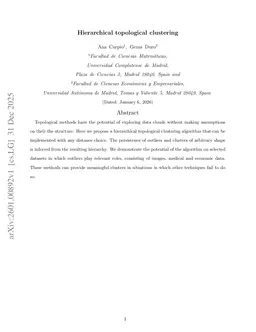 Hierarchical topological clustering